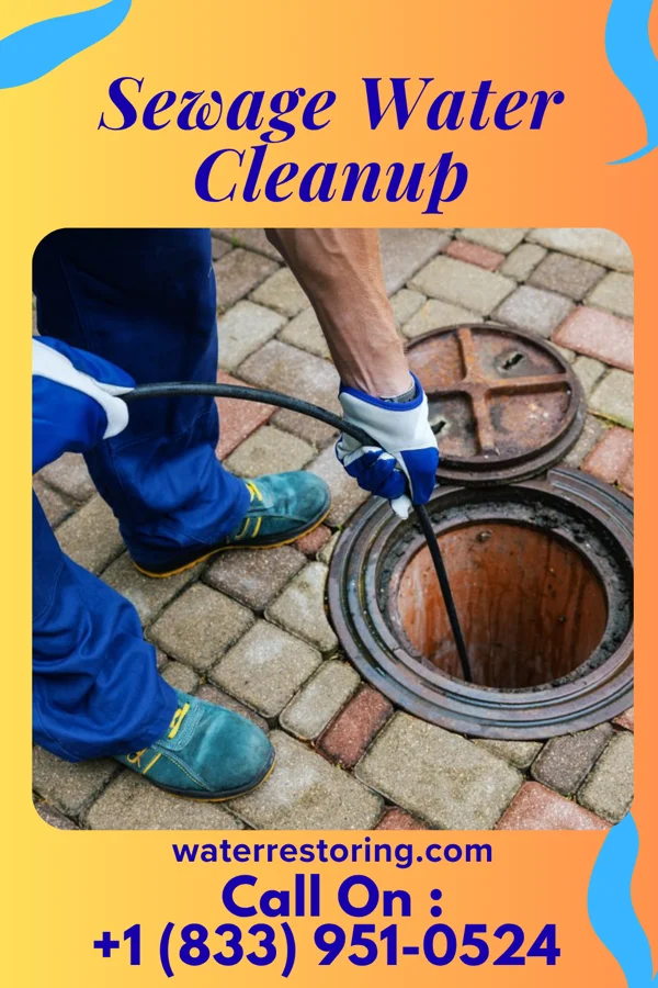 Sewage Water Cleanup in Sidney, IL